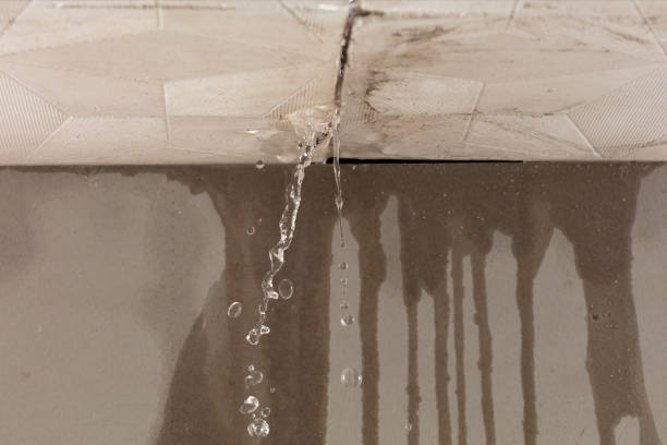 Professional Water Extraction technician working in Birch Harbor, ME